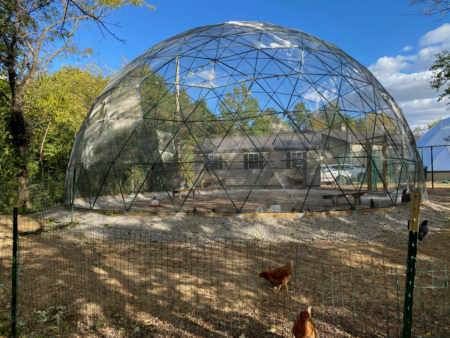 40 Ft Peacock Aviary Kits