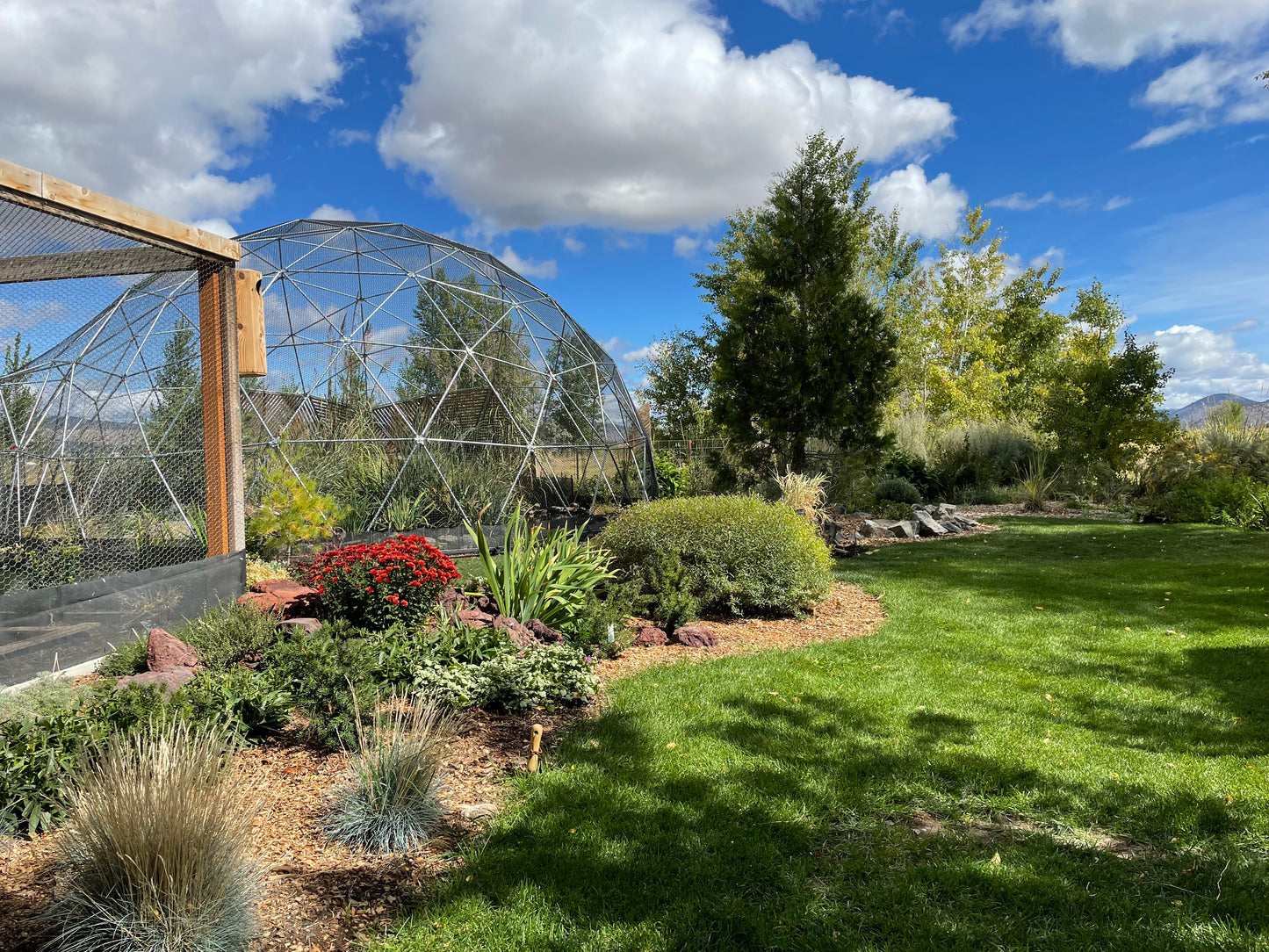 An idyllic backyard scene from a home in Washington state hosts a large 28 Ft aviary. The dome is surrounded by an appealing selection of plantings and bordered by a lawn of deep green.