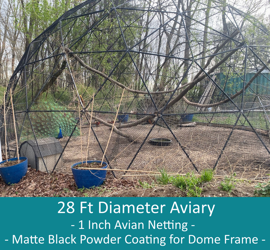 Curated visual reference: Gallery Detail: Peacock Aviary Kits